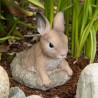 CURIOUS BUNNY GARDEN DECOR