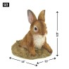 CURIOUS BUNNY GARDEN DECOR